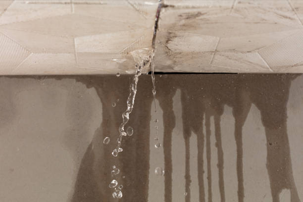Professional Structural Drying technician working in Riverside, MO